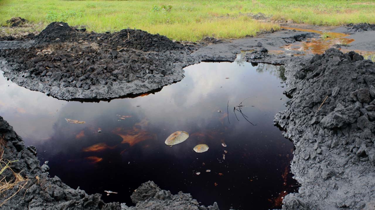 No exit without clean-up of historical environmental damages, CAPPA tells Shell, FG