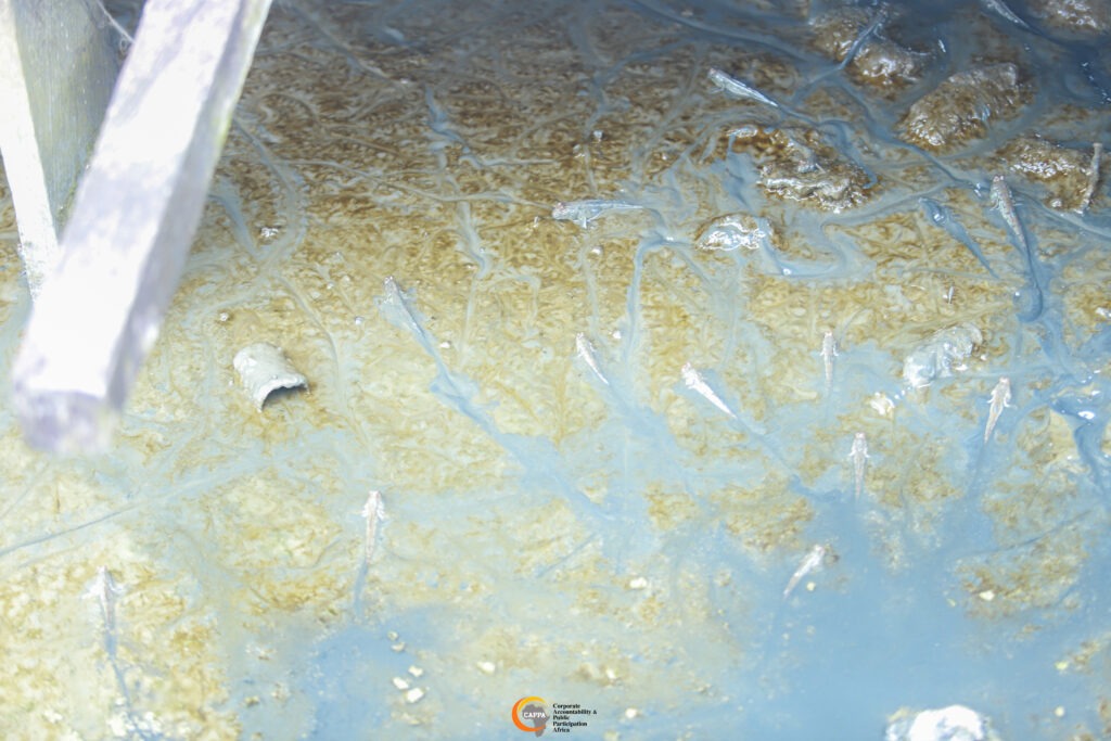 Oil-coated water in Abereke