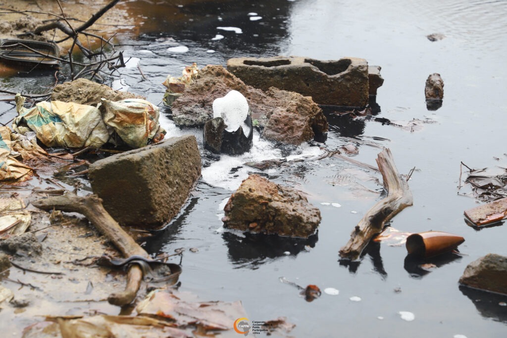 Gas and foam rising through a water body.